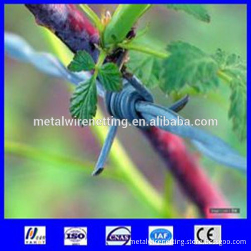 galvanized barbed wire made in China AnPing